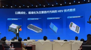 Chinese company Sunwoda has introduced an LFP battery pack that charges in 9 minutes.